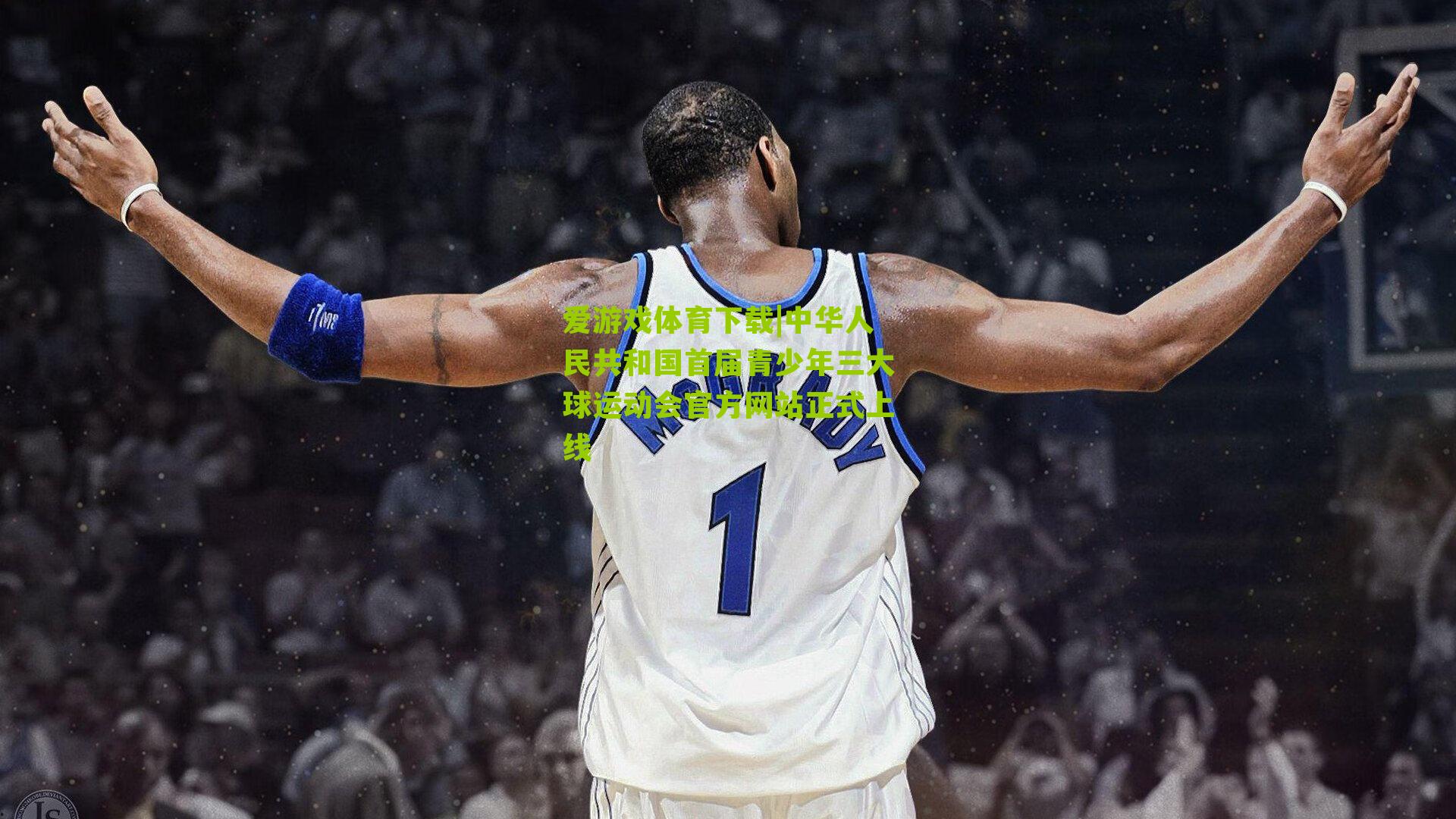 中华人民共和国首届青少年三大球运动会官方网站正式上线