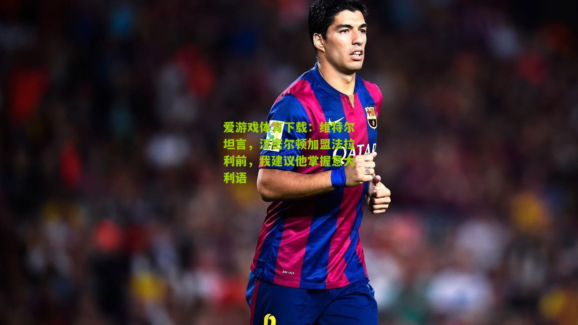 维特尔坦言，汉密尔顿加盟法拉利前，我建议他掌握意大利语